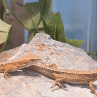 時間に追われて