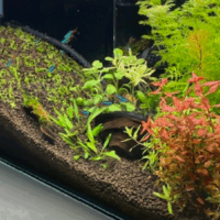 今年を振り返る