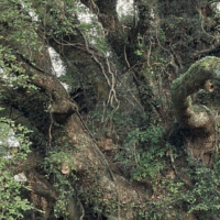 パワースポット