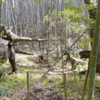 幼少期の思い出